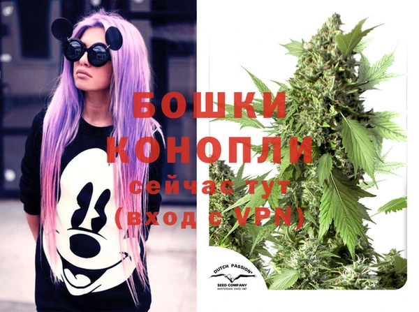 твердый Белокуриха