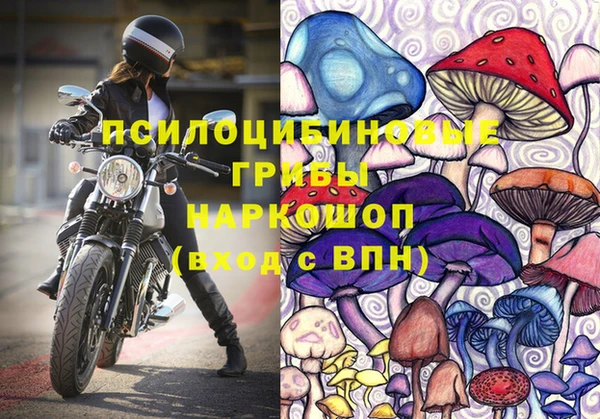 2c-b Беломорск
